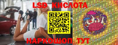 шишки Краснознаменск