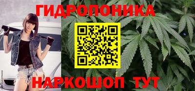 шишки Краснознаменск
