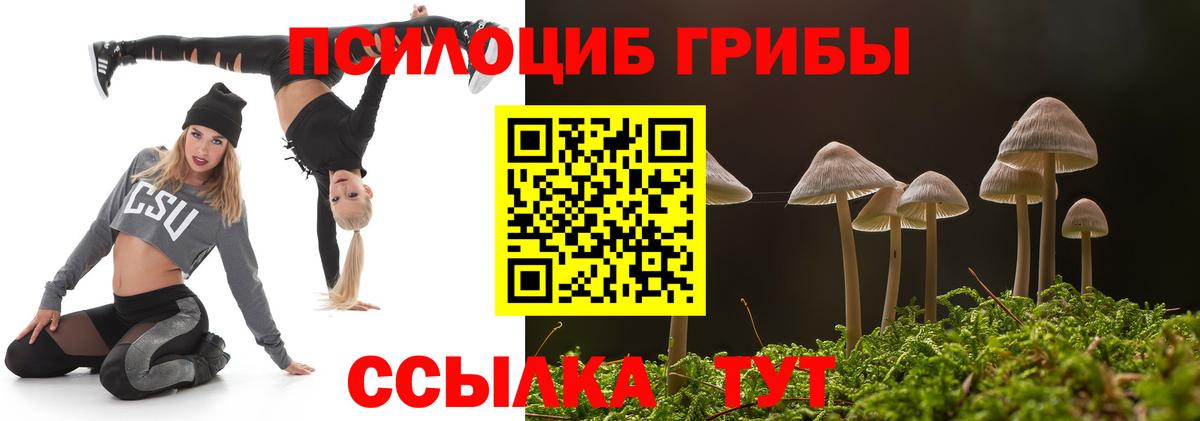 Галлюциногенные грибы Cubensis  Псилоцибиновые грибы GOLDEN TEACHER  Вход с VPN  Владикавказ 
